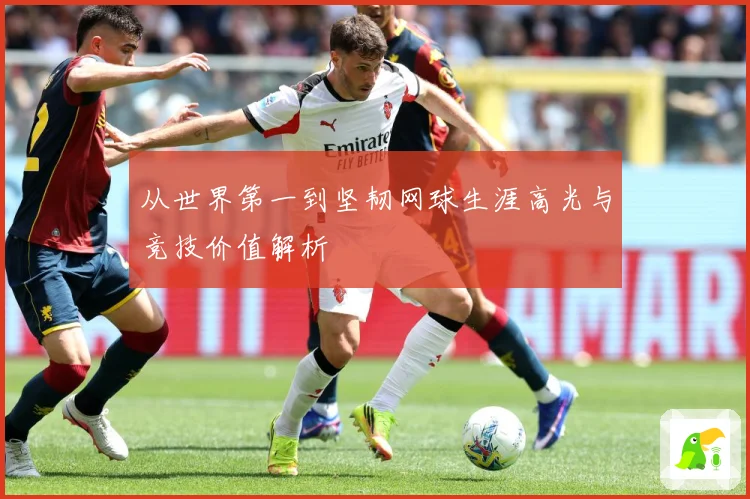从世界第一到坚韧网球生涯高光与竞技价值解析